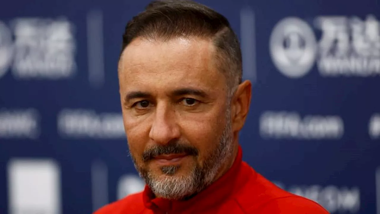 Wolves Appoint Vitor Pereira as New Manager