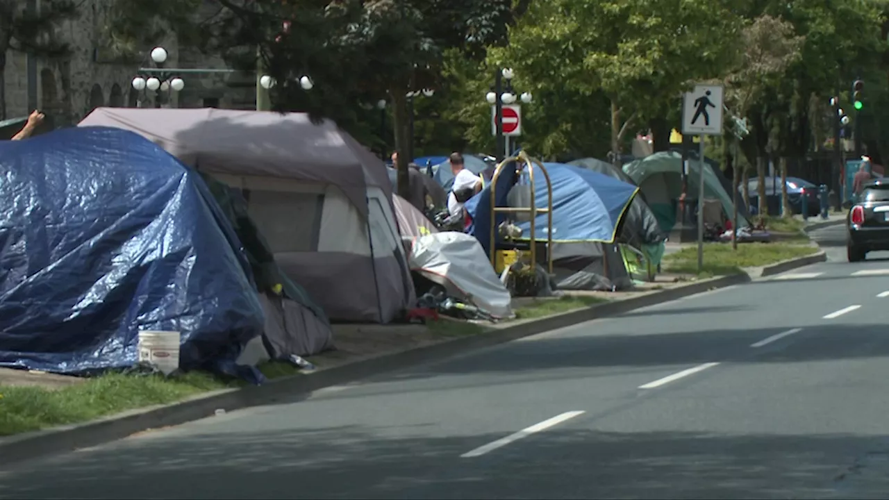 ‘Unconstitutional’: Court challenge to City of Victoria’s decision to restrict sheltering in parks