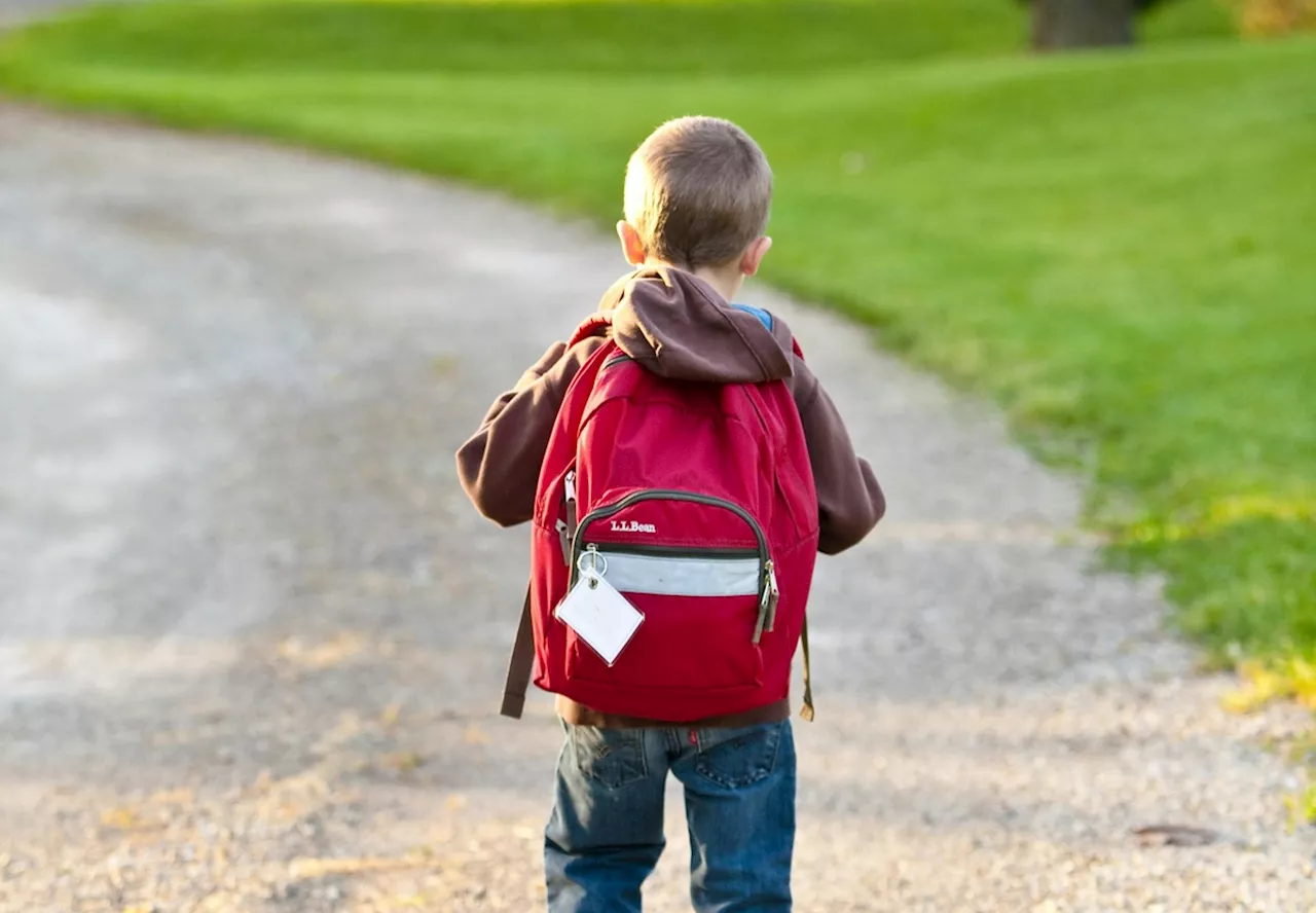 Mort d'un enfant de 6 ans après une chute à l'école au Royaume-Uni