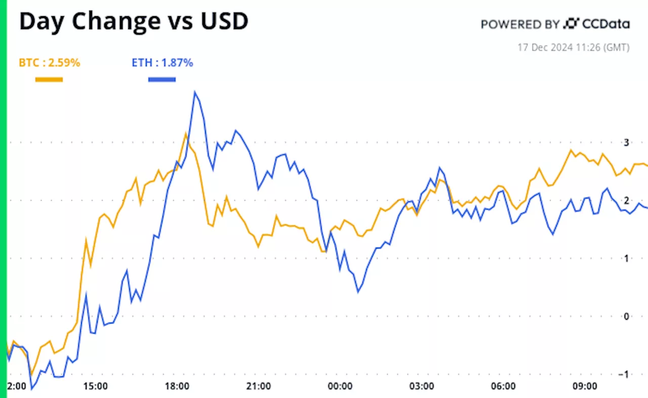 Crypto Market Soars on Trump's Pro-Bitcoin Stance