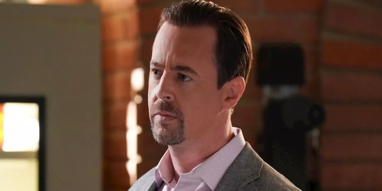 McGee's Suspicions About LaRoche Will Cause Drama In Upcoming 'NCIS' Episodes