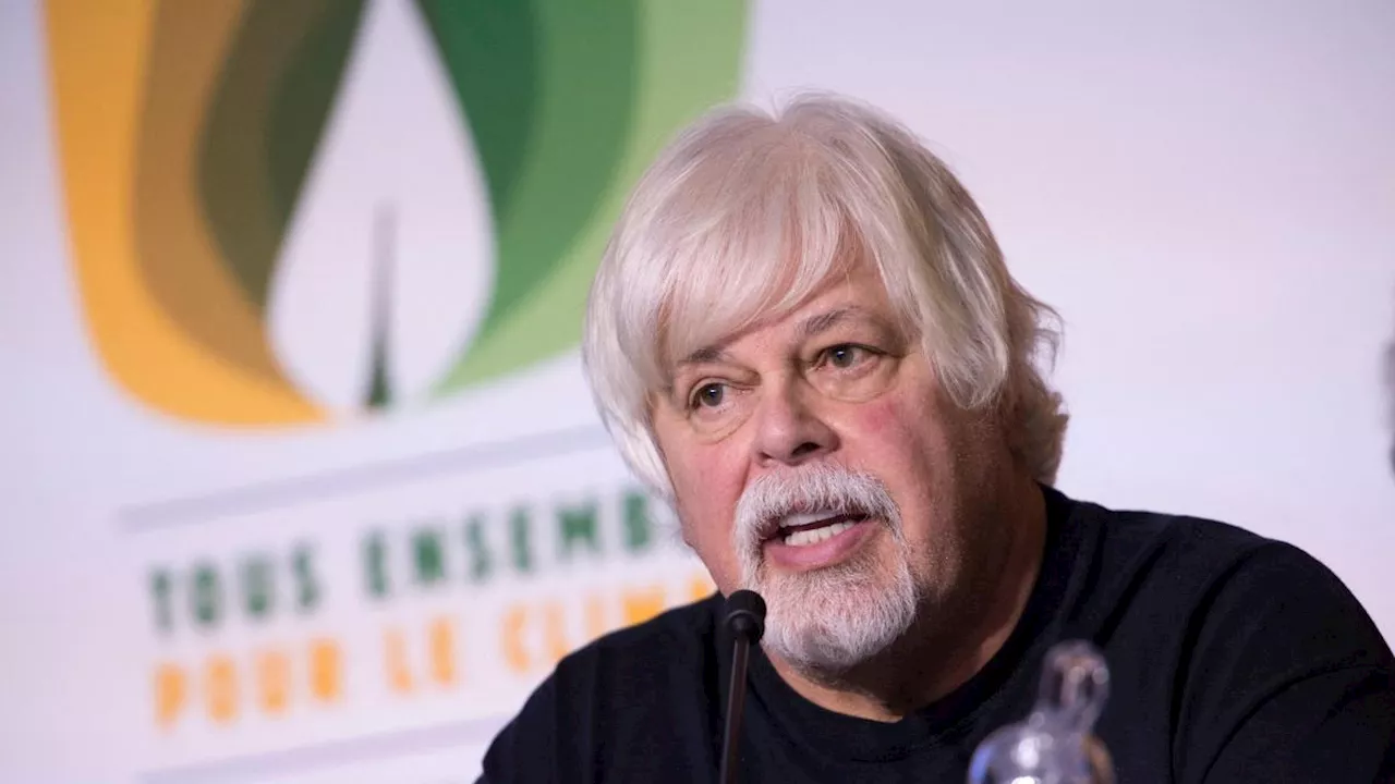 Paul Watson liberato: giustizia danese respinge estradizione in Giappone