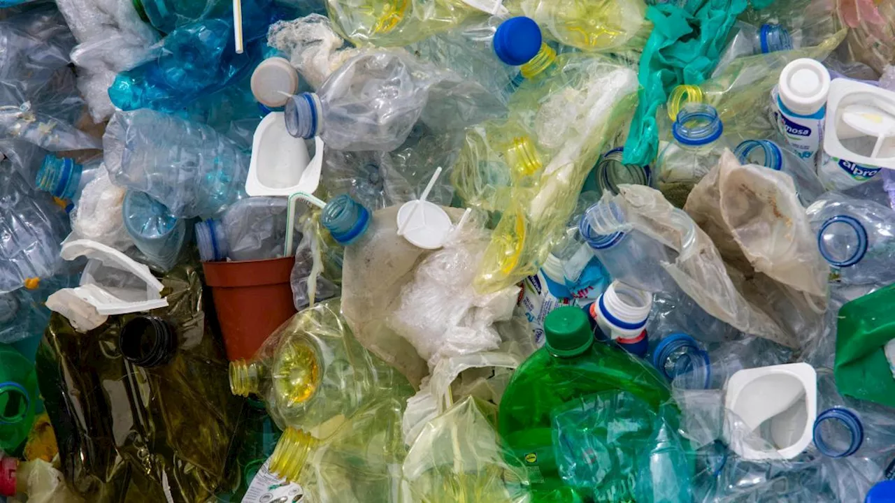 Plastiche Biodegradabili: La Soluzione al Problema dell'Inquinamento