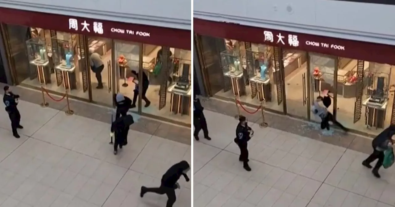 Smash-and-Grab Robbery at North York Mall Captures on Video