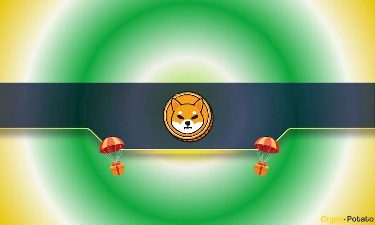 Shifu Airdrop Boosts Shiba Inu Ecosystem