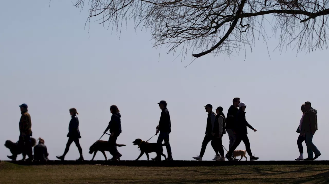 Canada's quarterly population growth hits slowest pace since early 2022