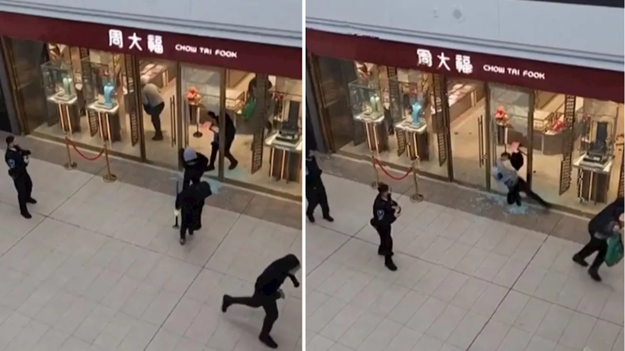 Smash-and-Grab Jewelry Robbery at North York Mall Sparks Community Safety Initiatives