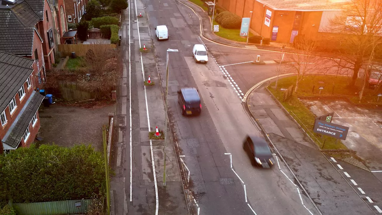 Green Council Branded Hypocrites for Felling Healthy Trees for Cycle Path