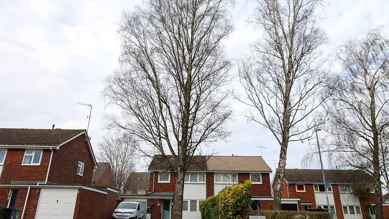 Worcester Residents Fear for Homes as Council Refuses to Cut Down 'Dangerous' Tree