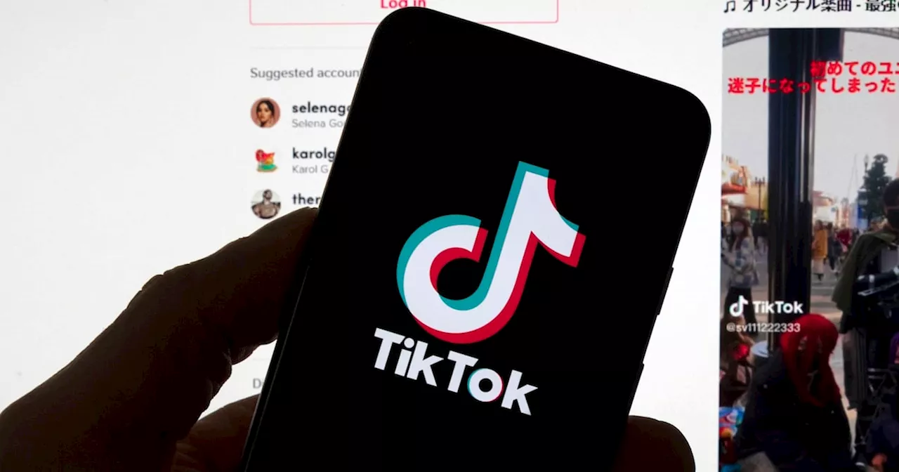 TikTok Seeks Supreme Court Intervention Against US Ban