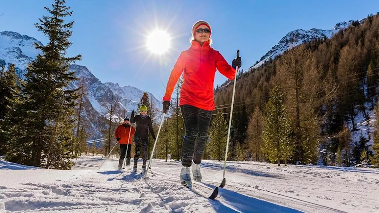 Choosing the Right Ski Poles: A Guide for Every Skier