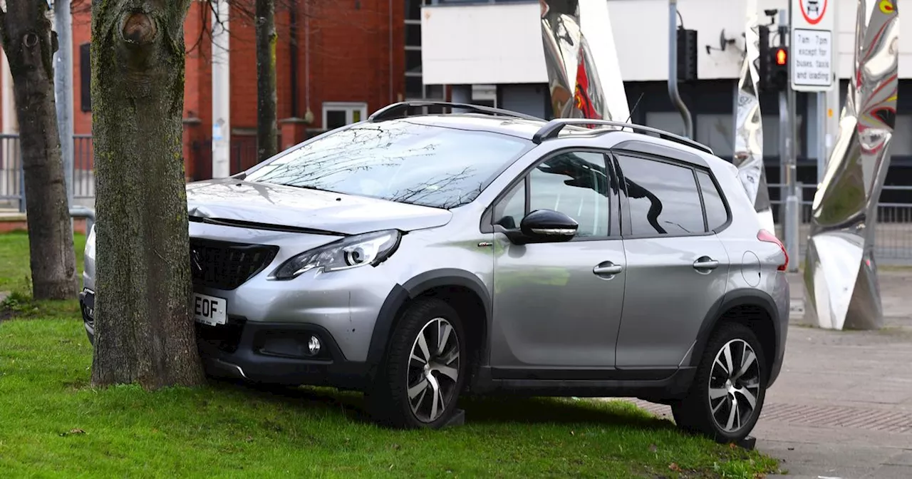 Six Hospitalized After Suspected Drink Driver Crashes into Tree on Marsh Lane