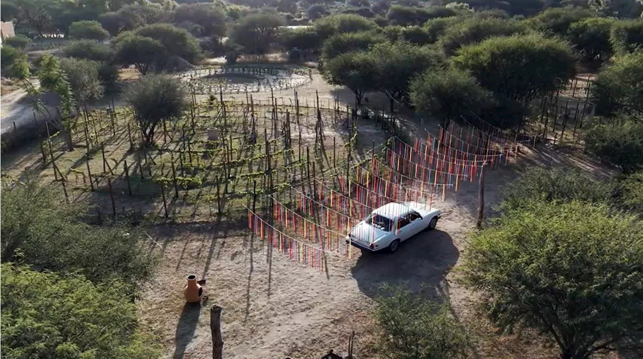 Ineffable, el nuevo viñedo circular en San Miguel de Allende