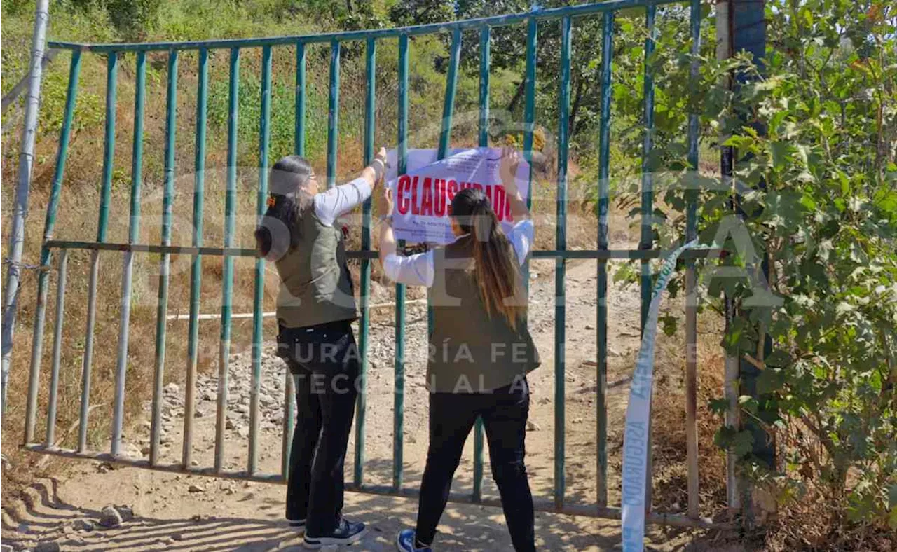 Profepa clausura parque Camino Real del Tigre en Jalisco; no acreditó origen legal de sus animales