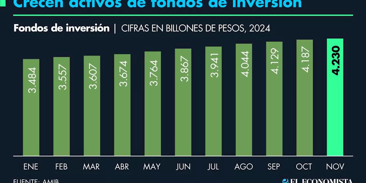 Suman activos de fondos de inversión 11 meses de expansión durante el 2024