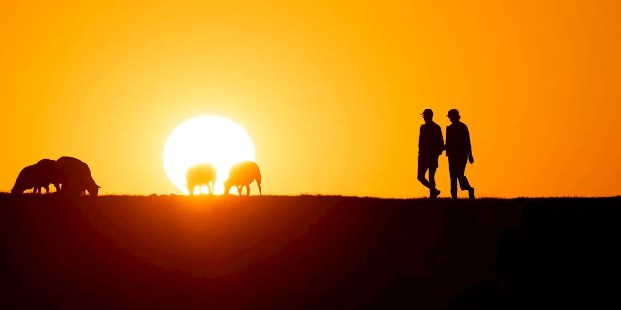 Deutschland Erreicht Rekordtemperatur im Jahr 2024