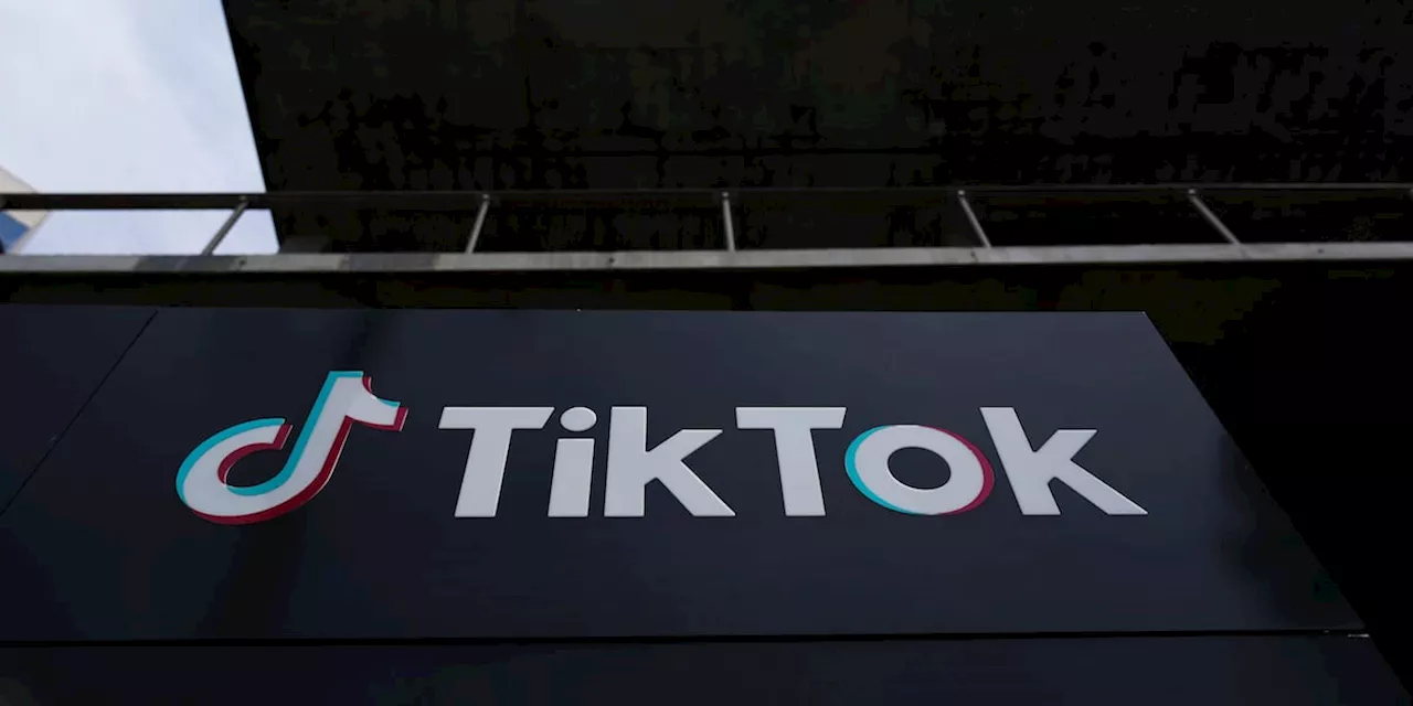 Trump May Reconsider TikTok Ban After Meeting with CEO