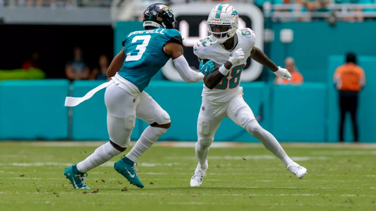 Miami Dolphins Receiver Grant DuBose Hospitalized After Helmet-to-Helmet Hit