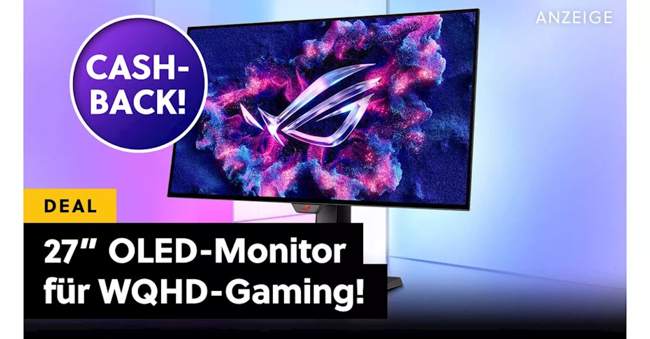 ASUS OLED Gaming-Monitor im Schnäppchenpreis mit Cashback!