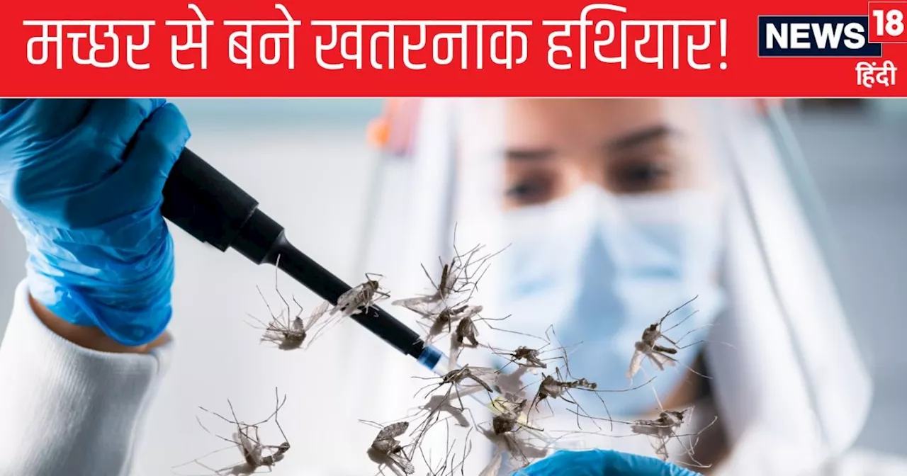 Biological Weapons: मच्‍छरों से कौन सा हथ‍ियार बना रहा था यूक्रेन, जिससे खौफ में थे पुत‍िन? आख‍िर चली गई जन...