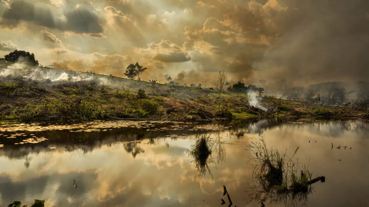 Amazzonia: un futuro incerto tra deforestazione e cambiamenti climatici