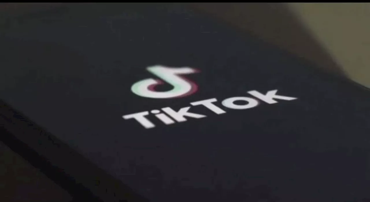 TikTok chiede alla Corte Suprema di bloccare il divieto negli Stati Uniti