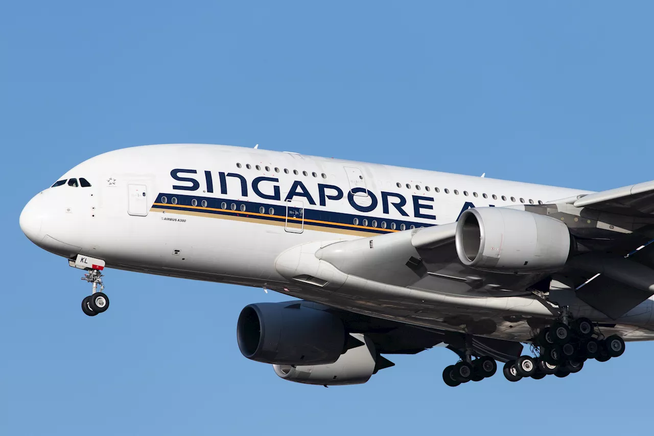 Singapore Airlines Group Sees Passenger Growth and Cargo Increase in November