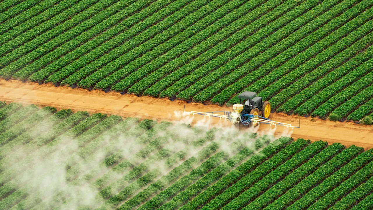 Stanford’s new portable device creates key plant food from thin air in just 2 hours