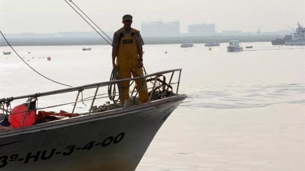 Aumento de la cuota de boquerón en el Golfo de Cádiz para 2025