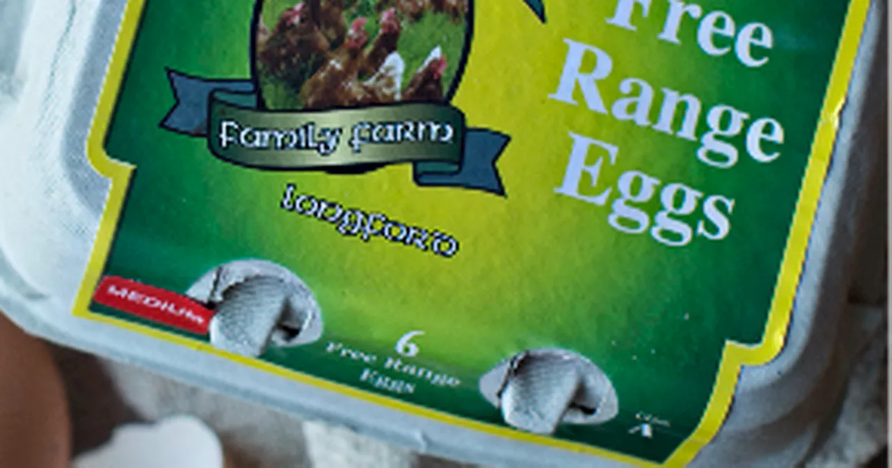 Ireland Issues Recall for O'Halleran Family Farm Eggs Due to Salmonella Risk