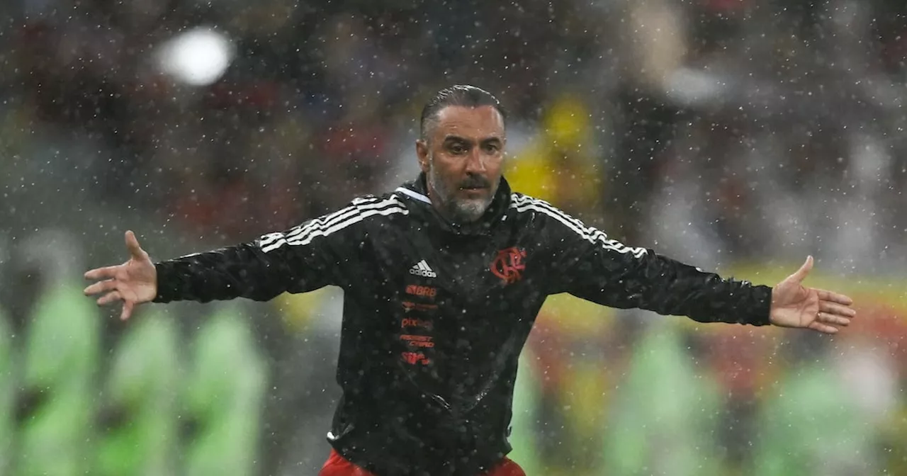 Wolves Appoint Vitor Pereira as New Head Coach