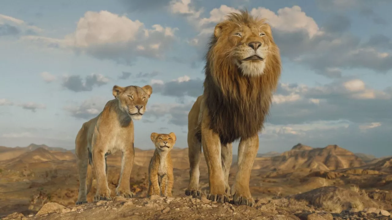 Mufasa: Der König der Löwen - Wann startet der Film bei Disney+?