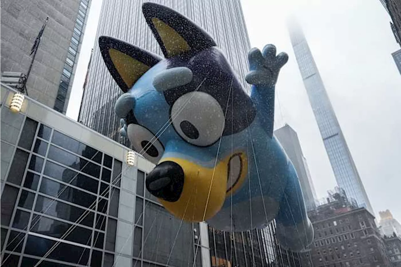 Bluey Getting Big-Screen Adventure in 2027