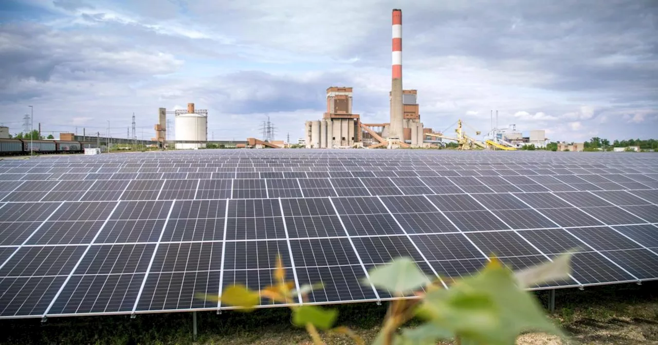 Milde Temperaturen und günstigerer Strom drücken EVN-Gewinn