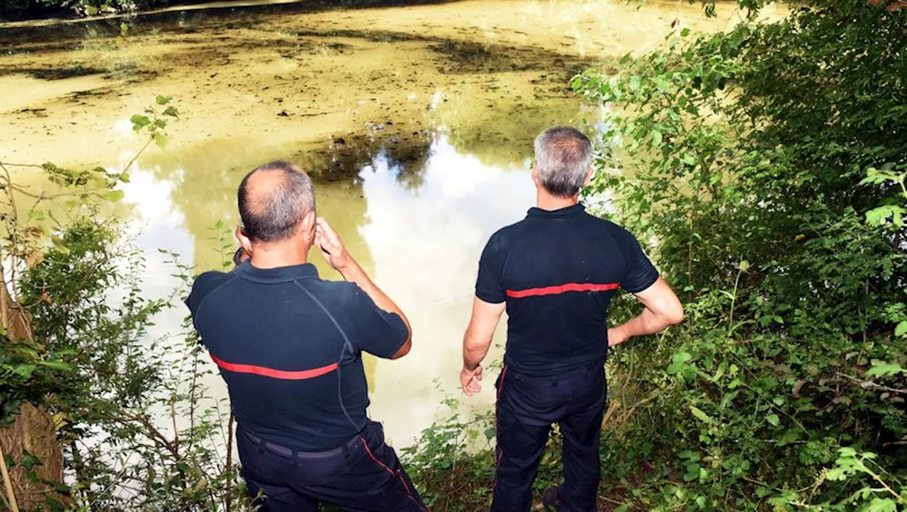 Accident de la route à Campsas : Une conductrice légèrement blessée et risque d'pollution