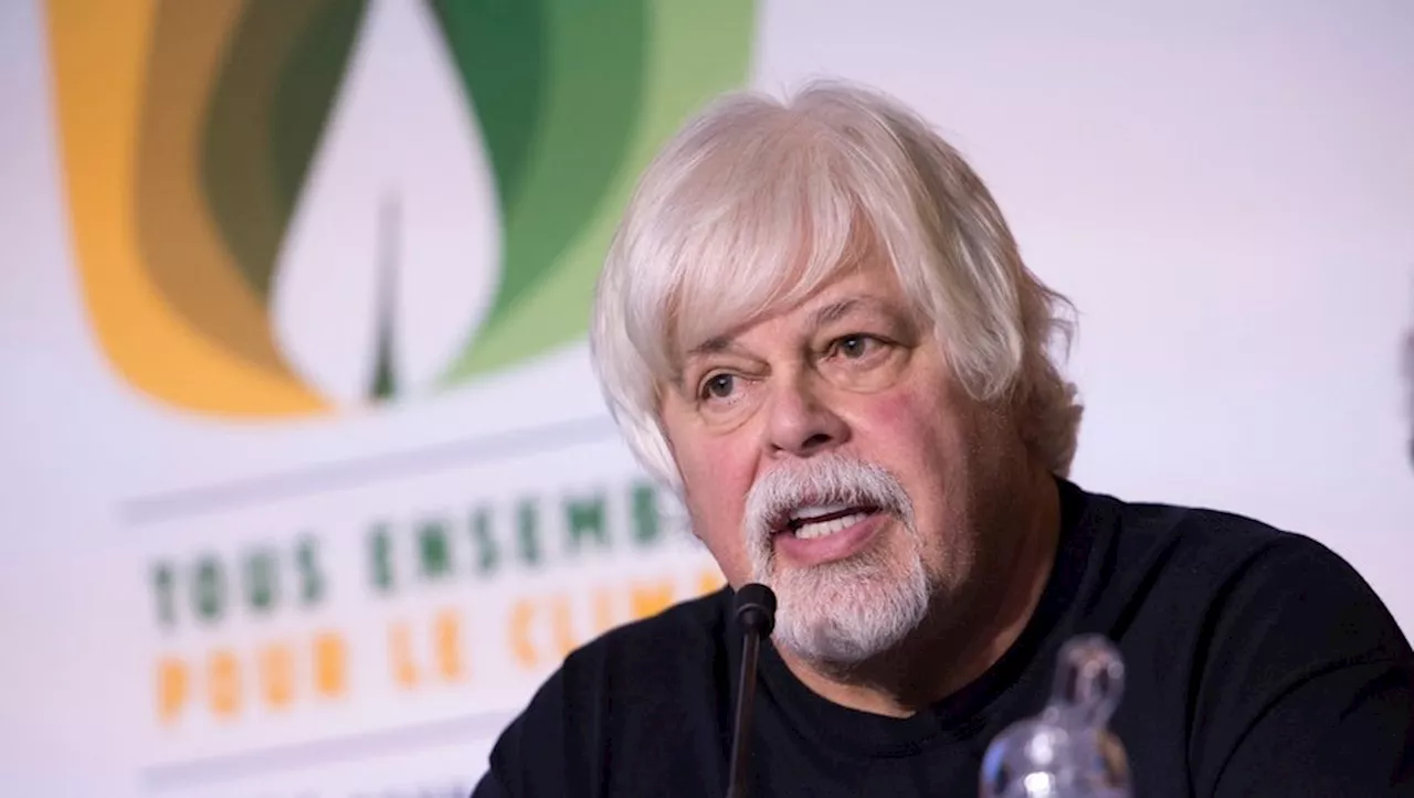 Paul Watson est libre : le grand défenseur des baleines ne sera pas extradé vers le Japon