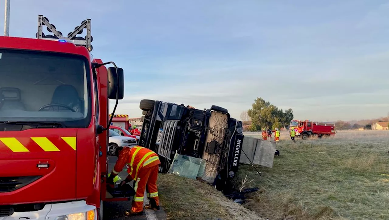 Sauvetage de vaches après un accident de camion dans le Tarn