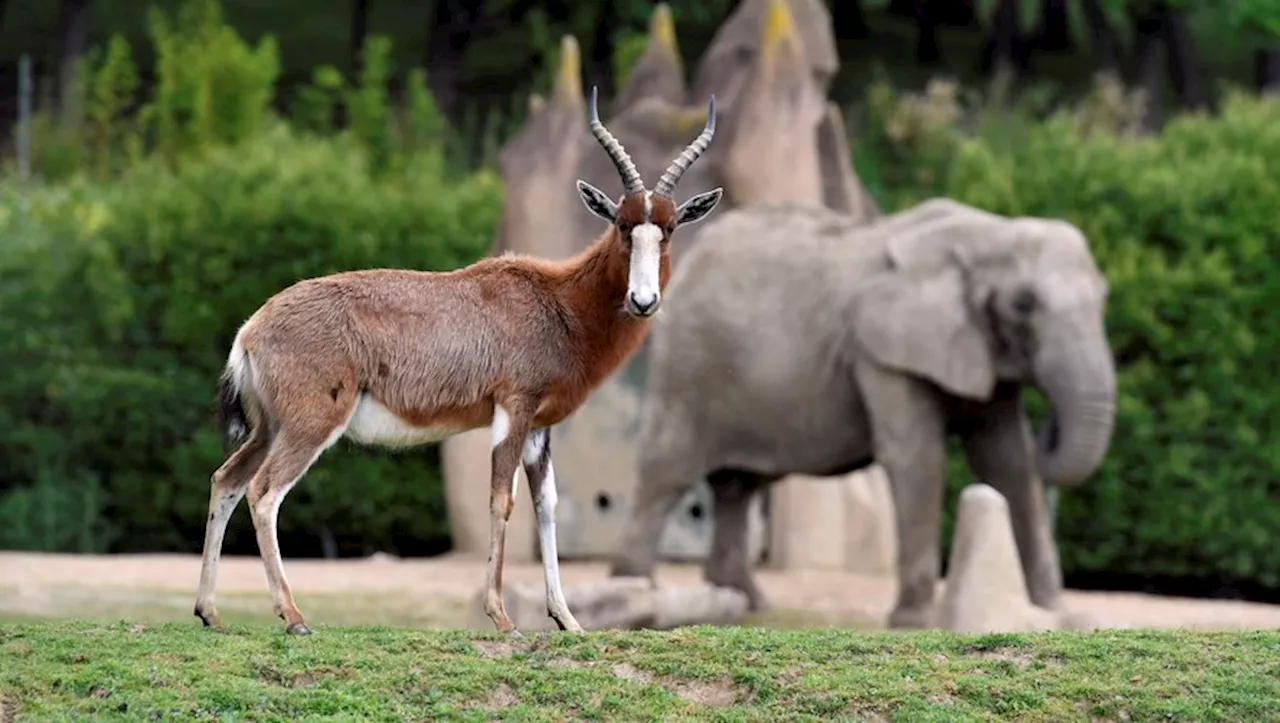 Dans ce zoo près de Toulouse, de nombreuses activités sont proposées pendant les vacances de Noël