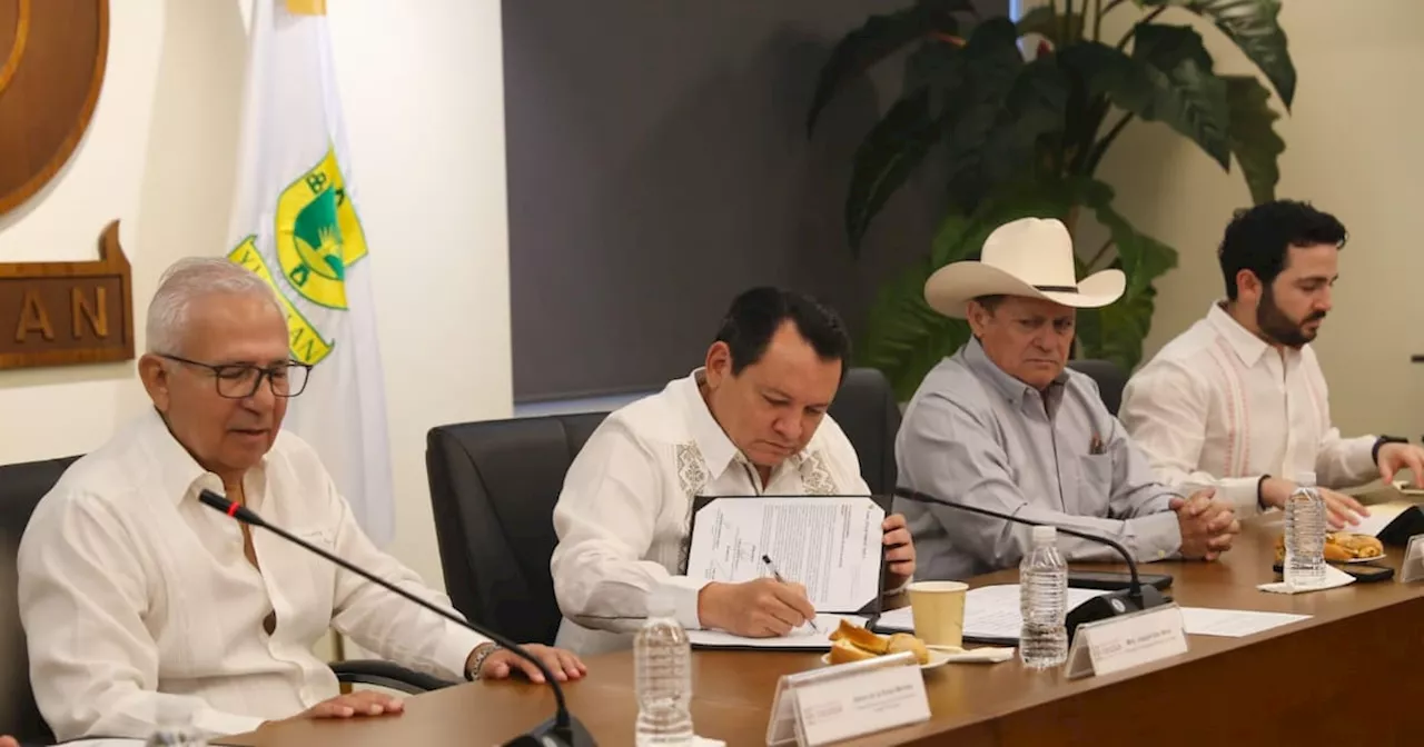 Yucatán Construirá Nuevo Parque Eólico con Inversión de 2 Mil 600 Millones de Pesos