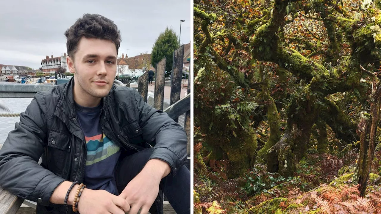 University Student Accused of Rape Takes His Own Life in Ancient Forest