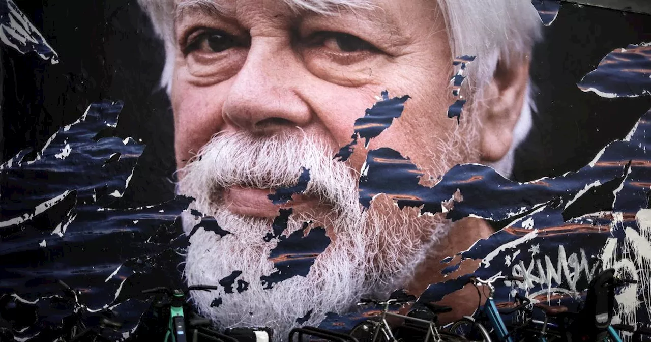 Paul Watson, militant anti-chasse à la baleine, libéré par le Danemark