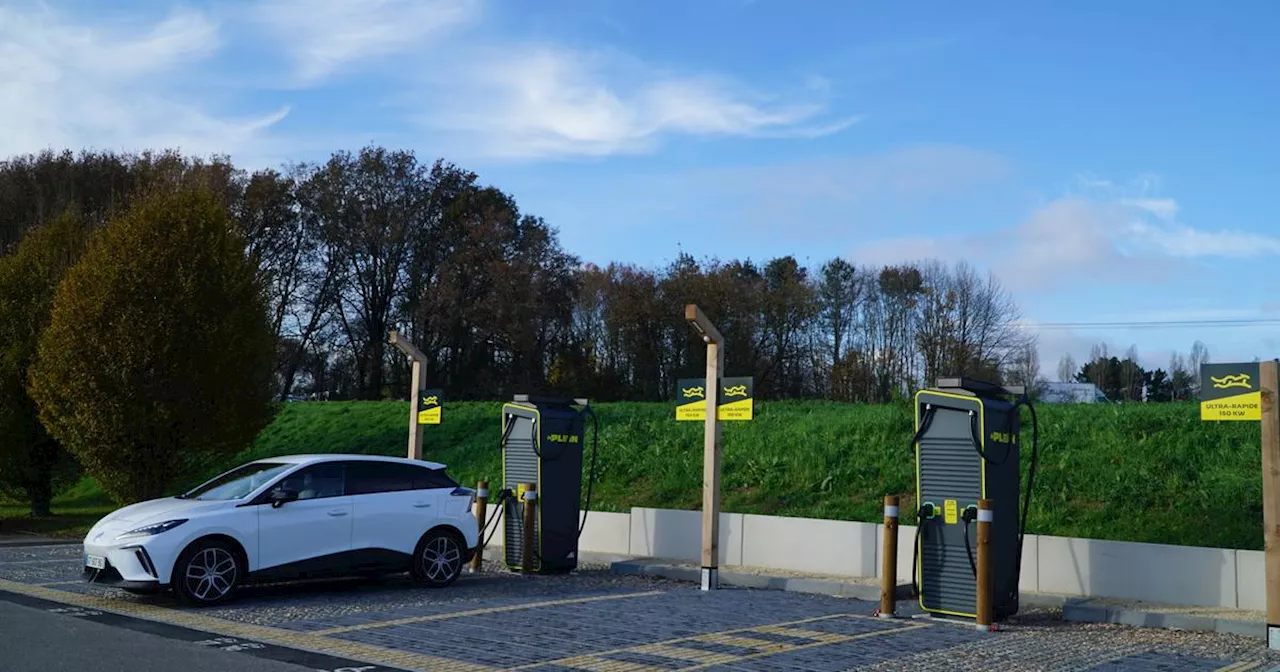 Voitures électriques : Auchan, Decathlon et Leroy Merlin misent sur les bornes de recharge