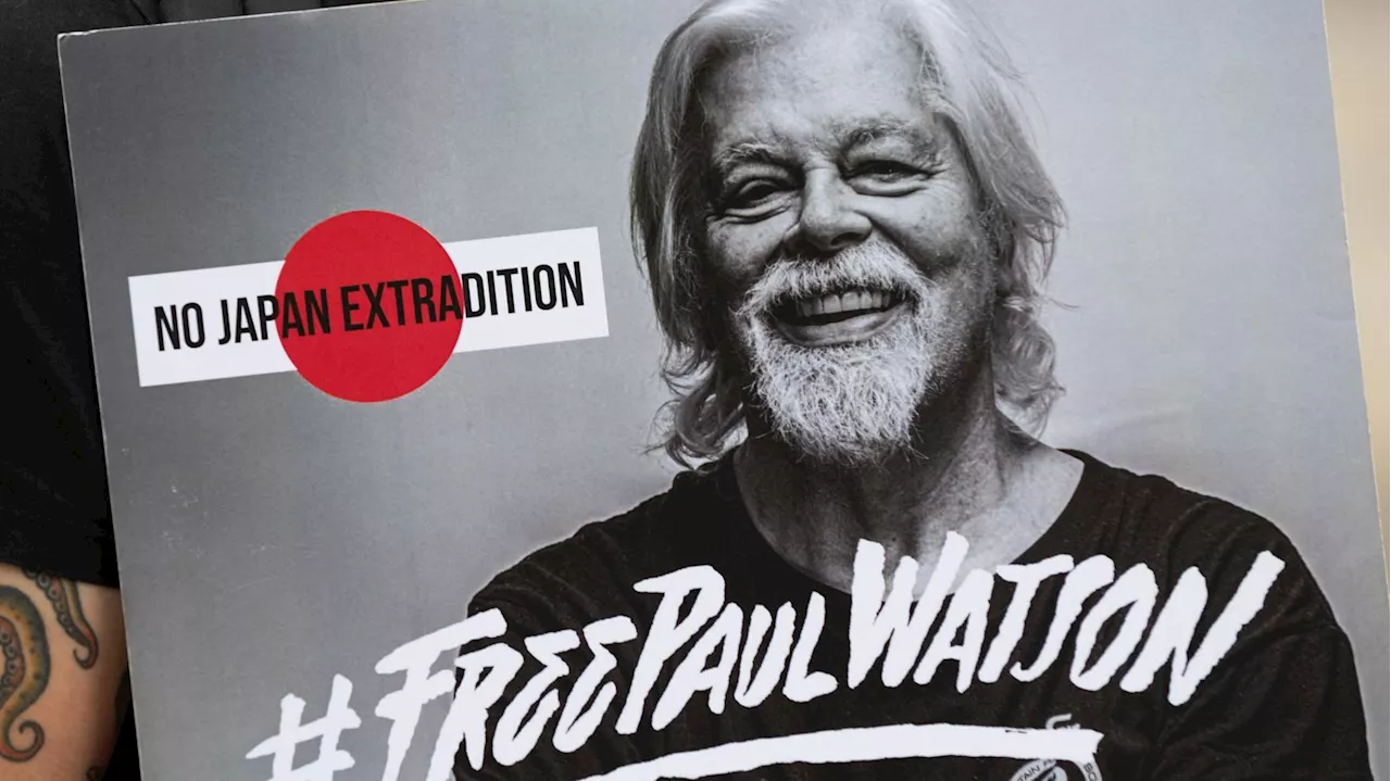 Paul Watson ne sera pas extradé par le Danemark, le fondateur de Sea Sheperd bientôt libéré