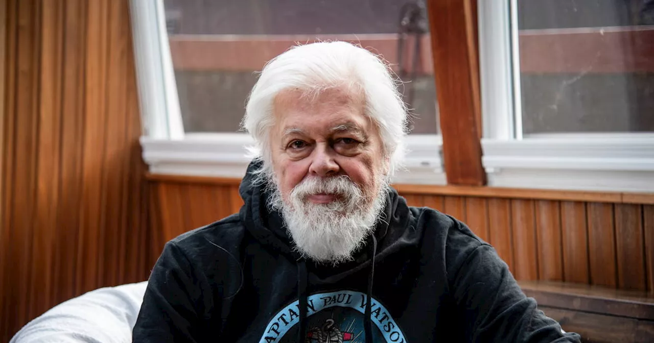 Affaire Paul Watson : le défenseur des baleines, blanchi par le Danemark, va pouvoir quitter sa prison