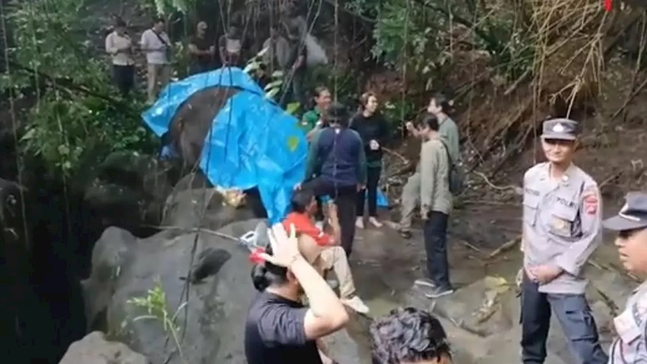 Gajah Molly Koleksi Bali Zoo Ditemukan Mati Usai Terseret Arus Sungai