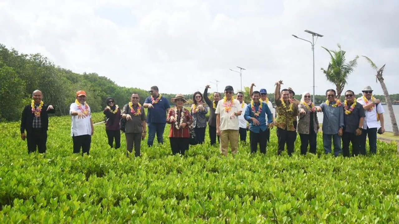 Komisi IV DPR Tekankan Pentingnya BRGM untuk Konservasi Mangrove