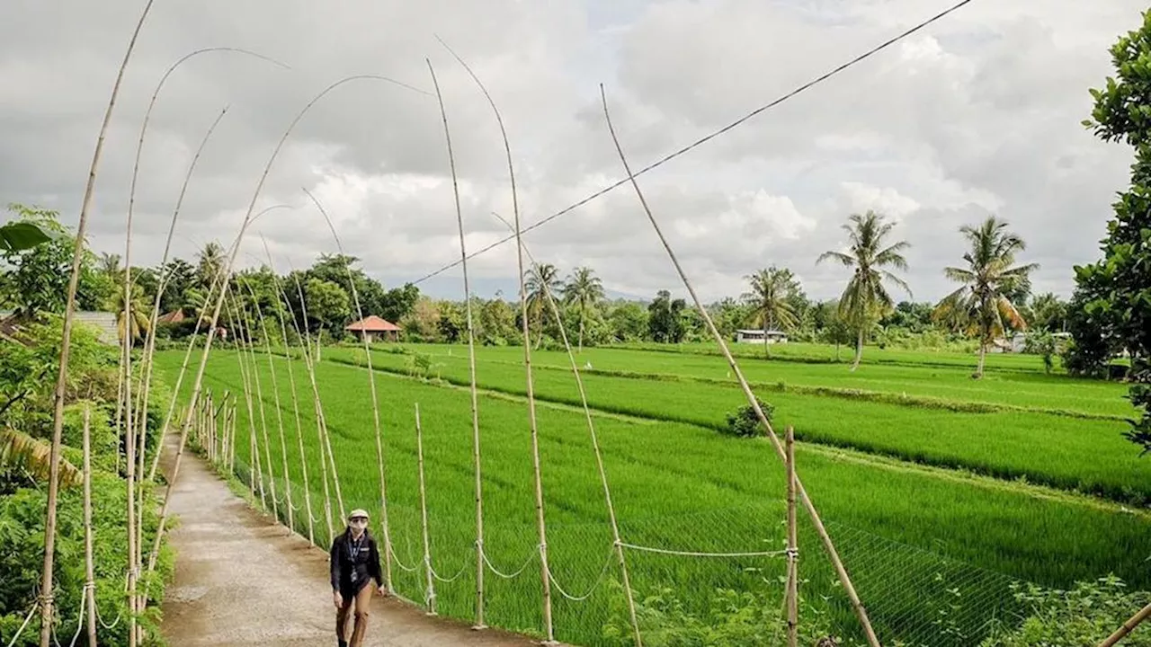 Rekomendasi Wisata Nusa Tenggara Barat untuk Merayakan HUT ke-66