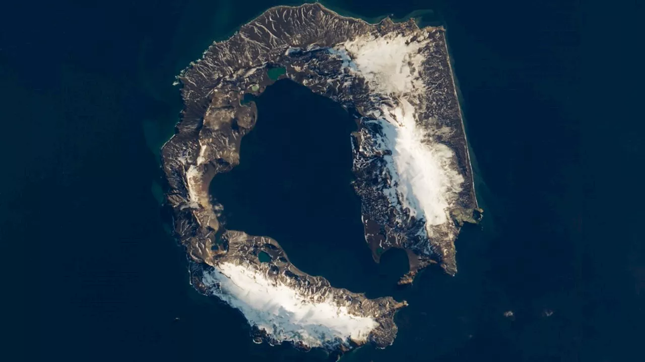 Deception Island: Antarctica's Hidden Volcanic Haven