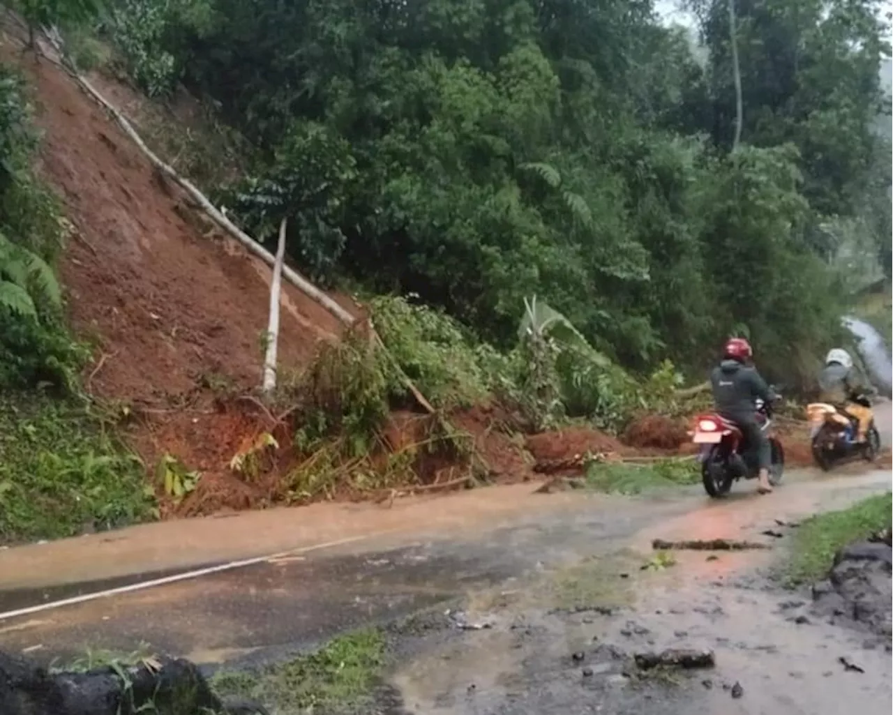 Tebing Setinggi 20 Meter Longsor Tutup Jalan Alternatif Tasikmalaya-Garut