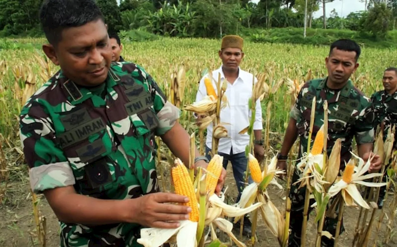 Wamentan Sudaryono Targetkan Buka 1 Juta Hektare Lahan Baru